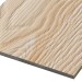 Фиброцементные панели FCSPRO Decor Wood Лиственница купить в Анжеро-Судженске